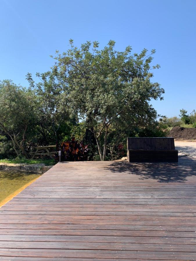 Casa de Campo Casa Branca *